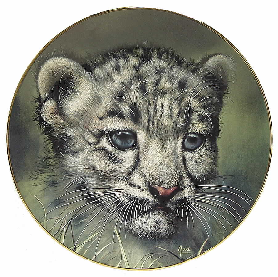 Cubs of the Big Cats Snow Leopard Cub - No Box by Princeton Gallery-1