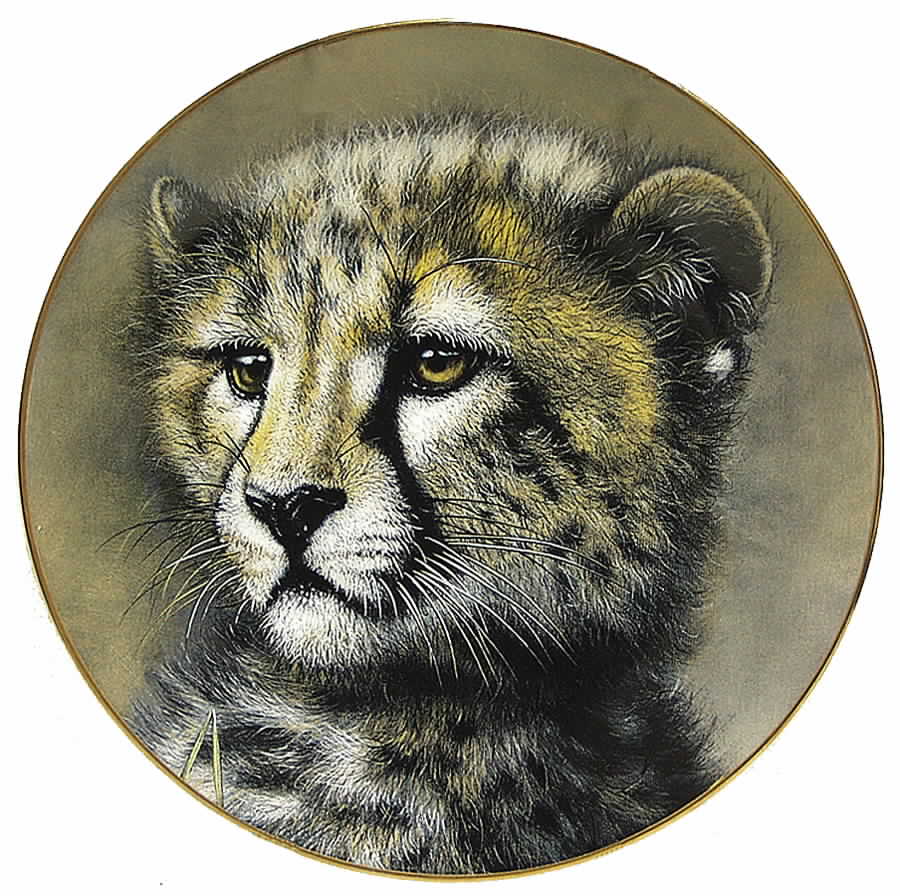 Cubs of the Big Cats Cheetah Cub - Boxed by Princeton Gallery-1