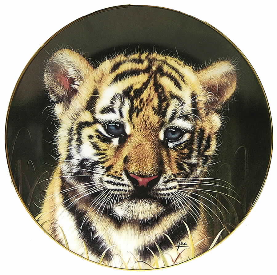 Cubs of the Big Cats Tiger Cub - No Box by Princeton Gallery-1