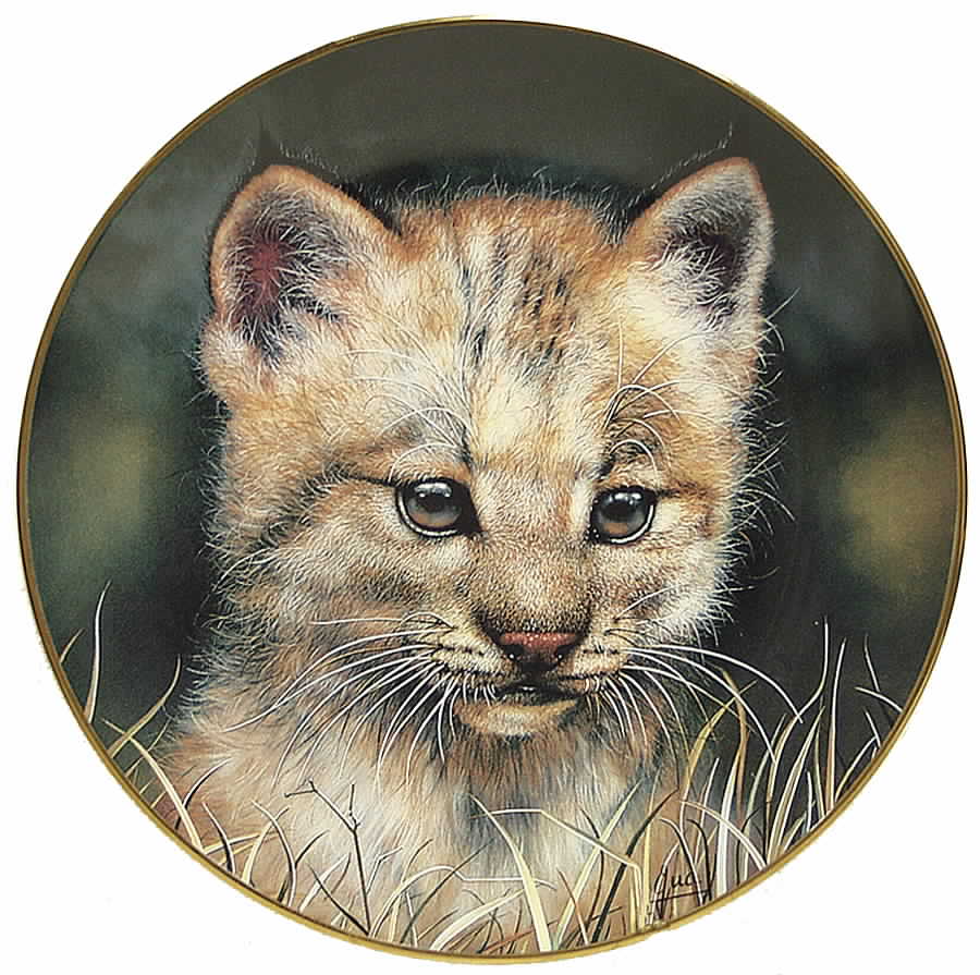 Cubs of the Big Cats Lynx Cub - No Box by Princeton Gallery-1