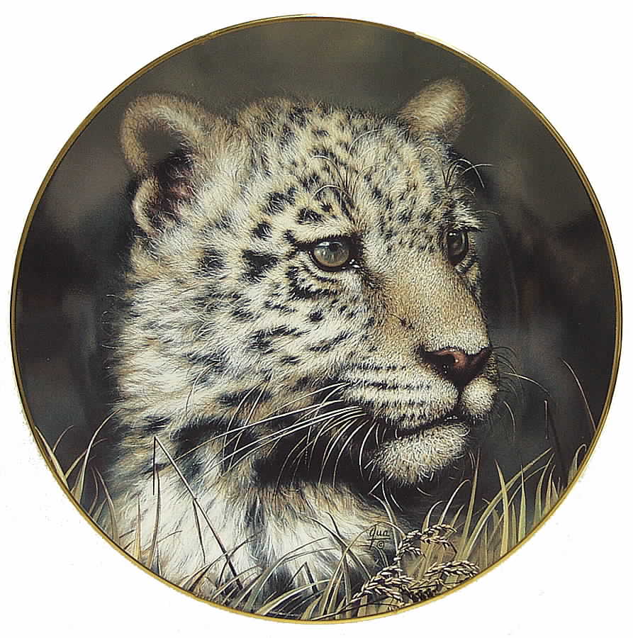 Cubs of the Big Cats Jaguar Cub - Boxed by Princeton Gallery-1