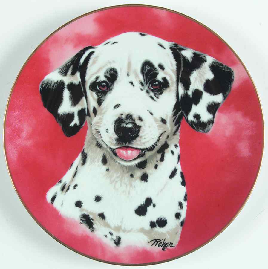 Darling Dalmatians Dalmatian - No Box by Princeton Gallery-1