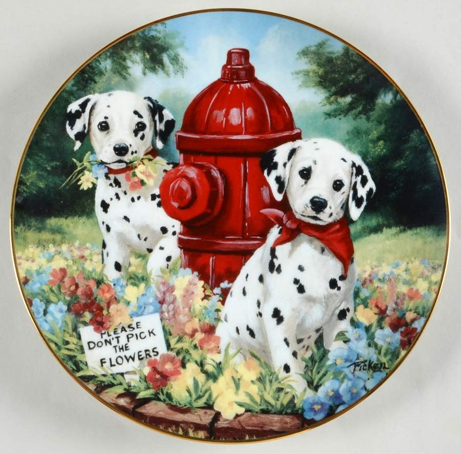 Darling Dalmatians Don't Pick The Flowers - No Box by Princeton Gallery-1