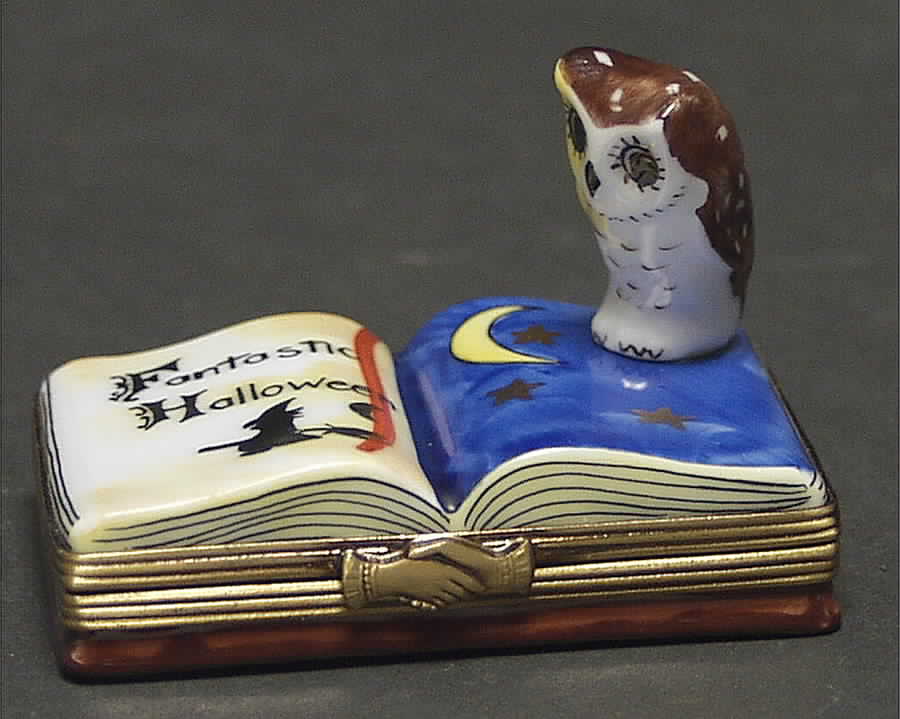 PEINT MAIN LIMOGES BOX Owl On Open Book - No Box by Peint Main-1