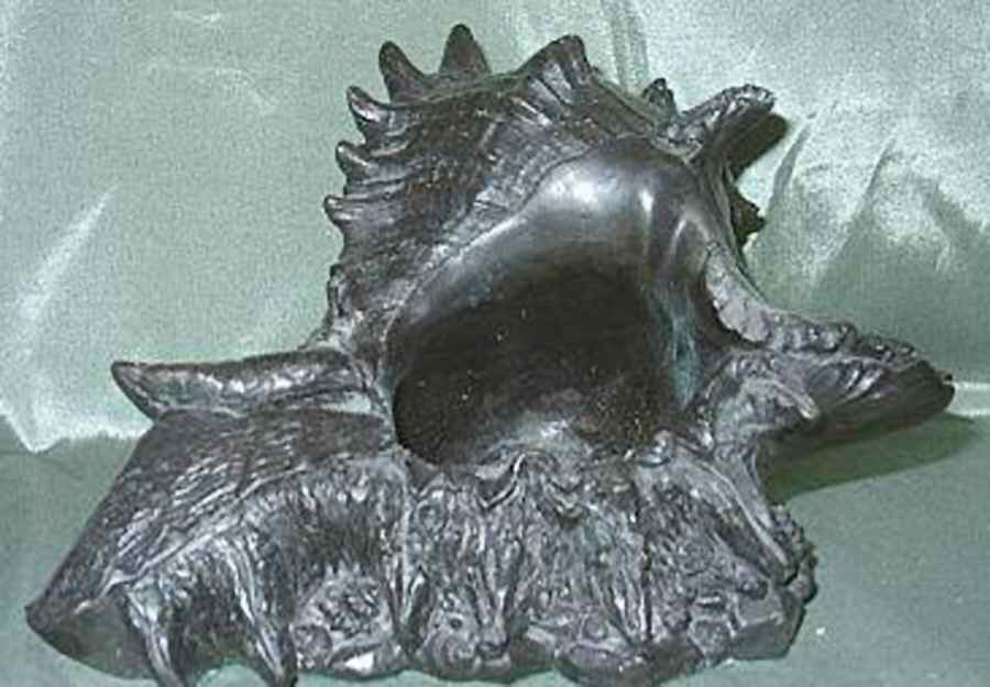 PenDelfin Giftware Shell Flower Holder - Boxed by PenDelfin-1