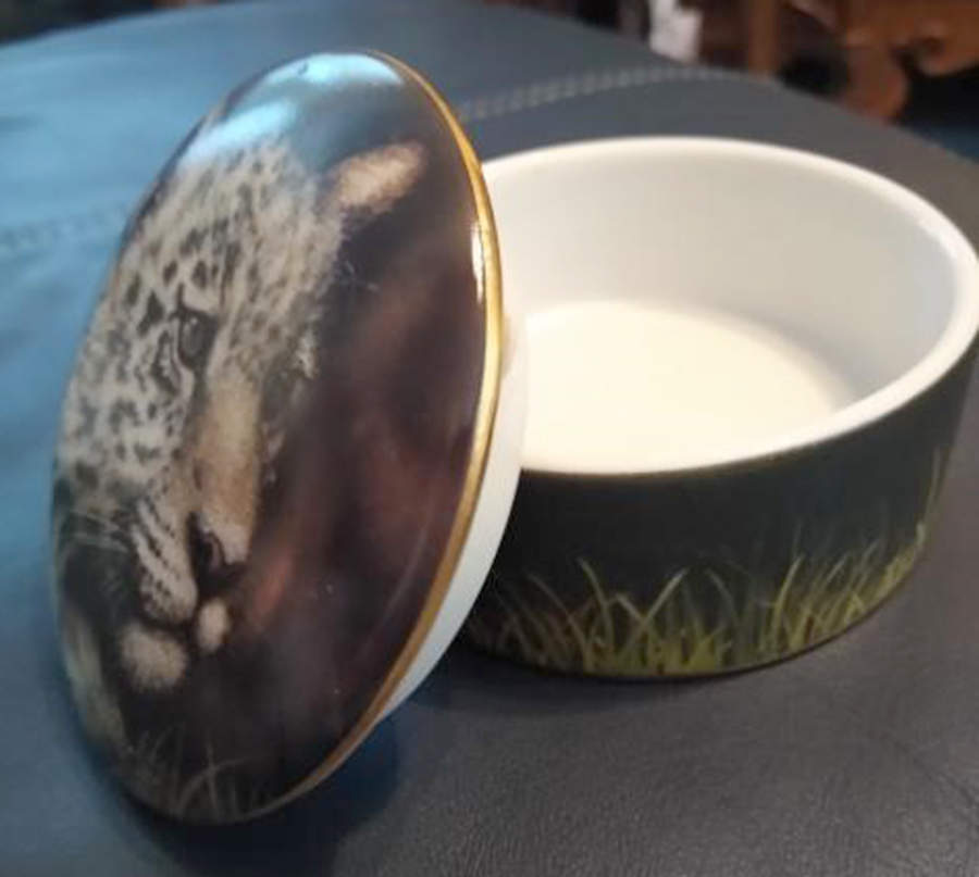 Cubs of the Big Cats Music Box Collection Jaguar Cub - No Box by Princeton Gallery-1