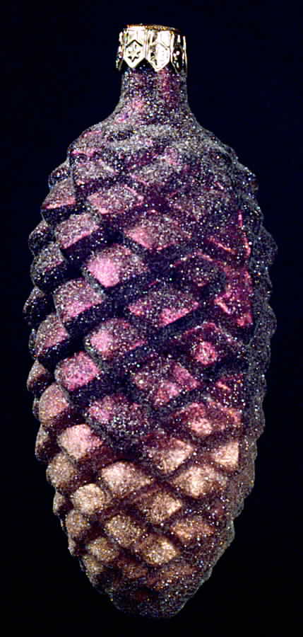Trees & Pinecones Forest Frost - No Box by Christopher Radko-1