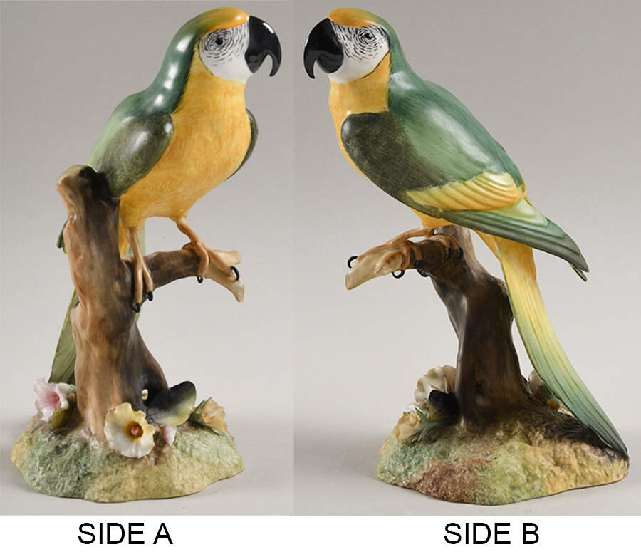 Bird Figurines Macaw - Boxed by Royal Crown Derby-1