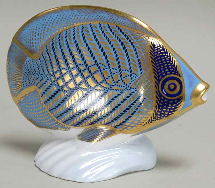 Tropical Fish Collection Chevroned Butterfly Fish - Boxed by Royal Crown Derby-1