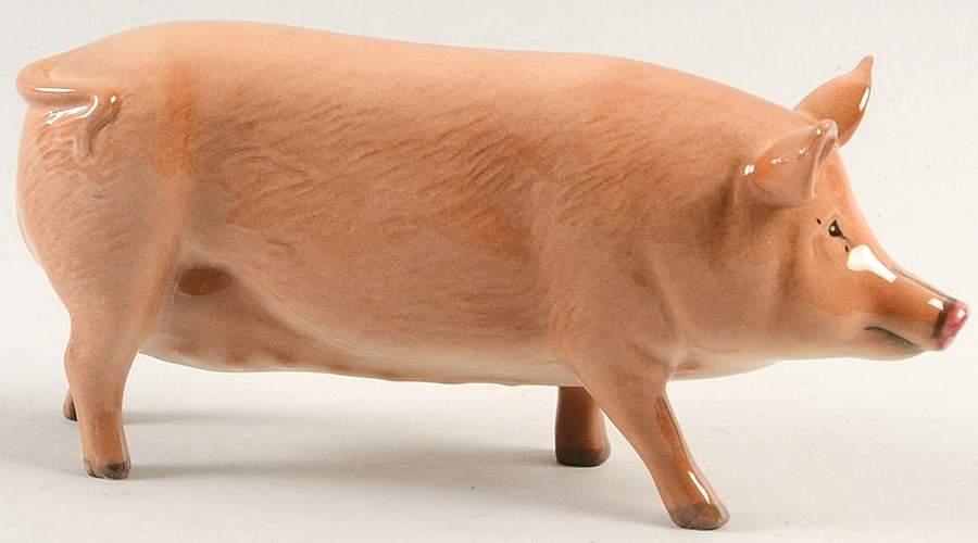 Animals Tamworth Pig - No Box by Royal Doulton-1
