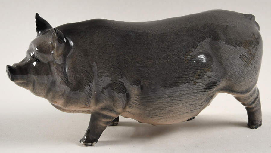 Animals Vietnamese Pot-Bellied Pig - With Box by Royal Doulton-1