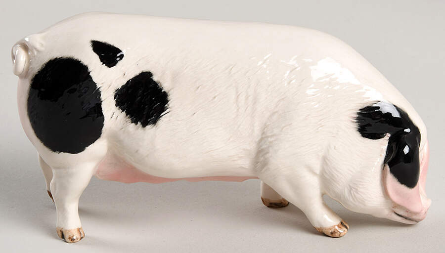 Animals Glouchester Old Spot Pig - Boxed by Royal Doulton-1