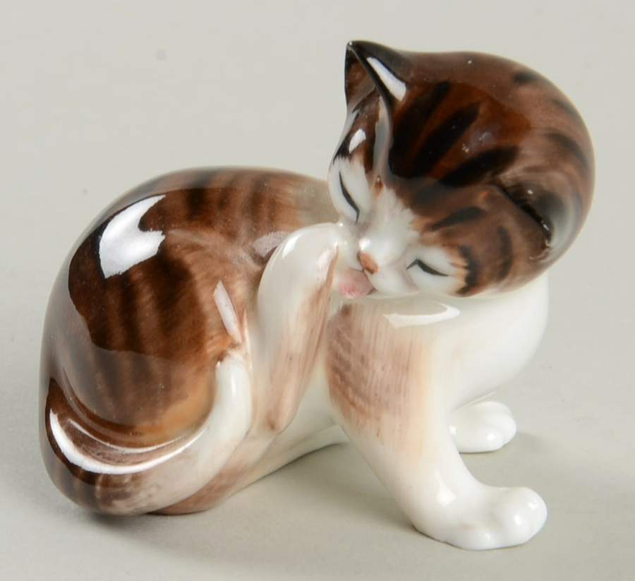 Animals Character Kitten Licking Hindp - With Box Bx781 by Royal Doulton-1