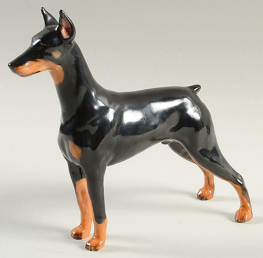 Animals Doberman Pinscher Ch.'Ran.Dobs - With Box Bx827 by Royal Doulton-1