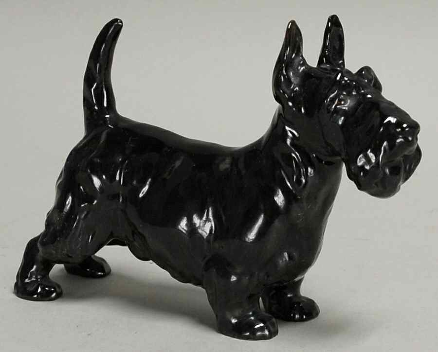 Animals Scottish Terrier-Albourne Arthur - Boxed by Royal Doulton-1
