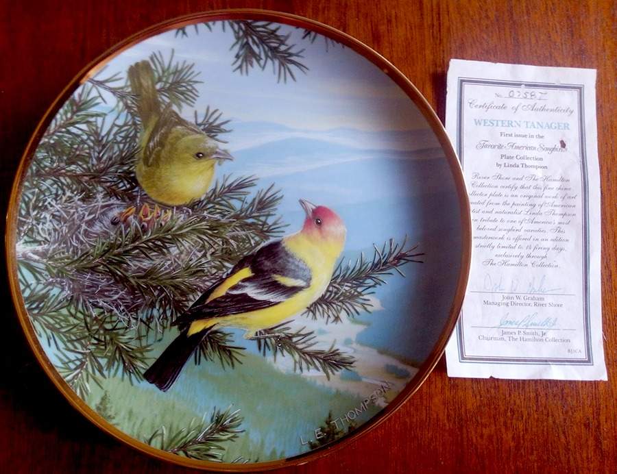 Famous American Songbirds Western Tanger - No Box by River Shore-1