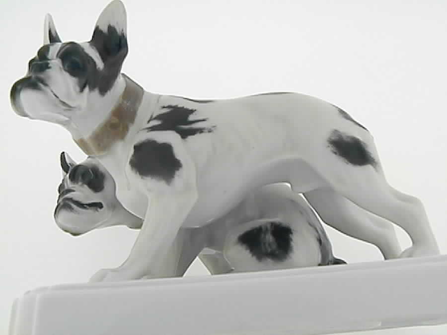 Rosenthal Figurine Bulldogs - Boxed by Rosenthal - Continental-1