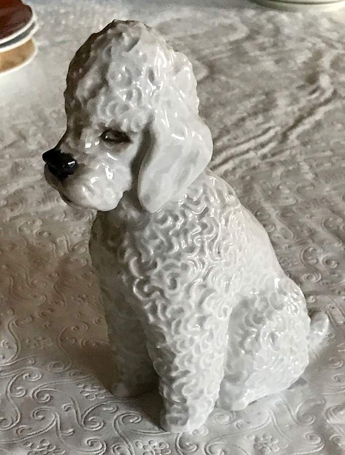 Rosenthal Figurine Poodle Sitting - No Box by Rosenthal - Continental-1