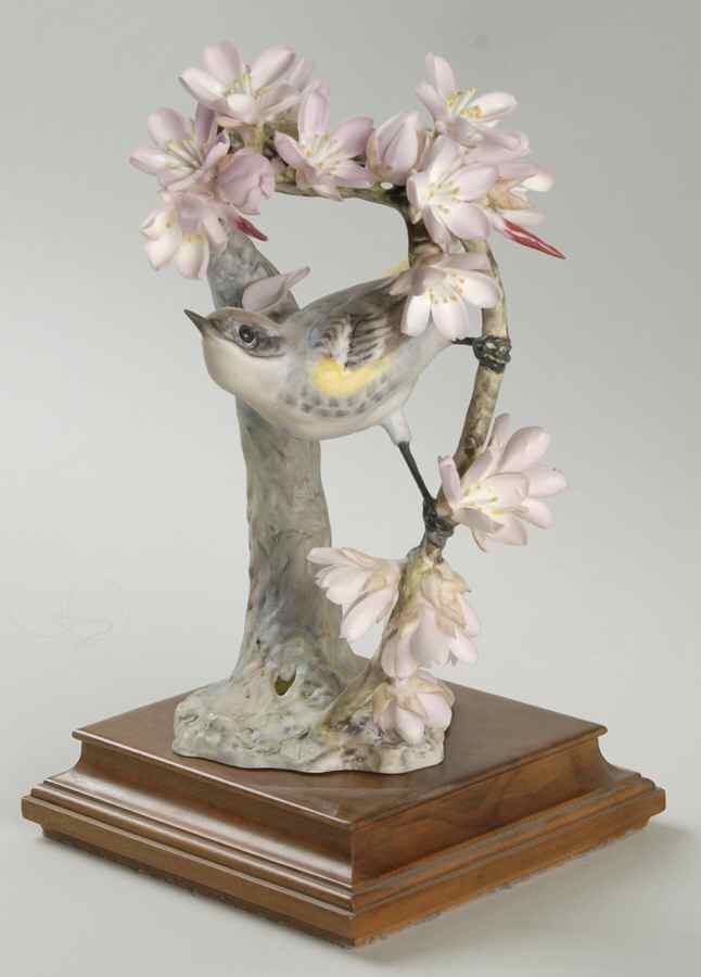 Doughty American Birds Hen-Myrtle Warbler & Weeping Cherry - No Box by Royal Worcester-1
