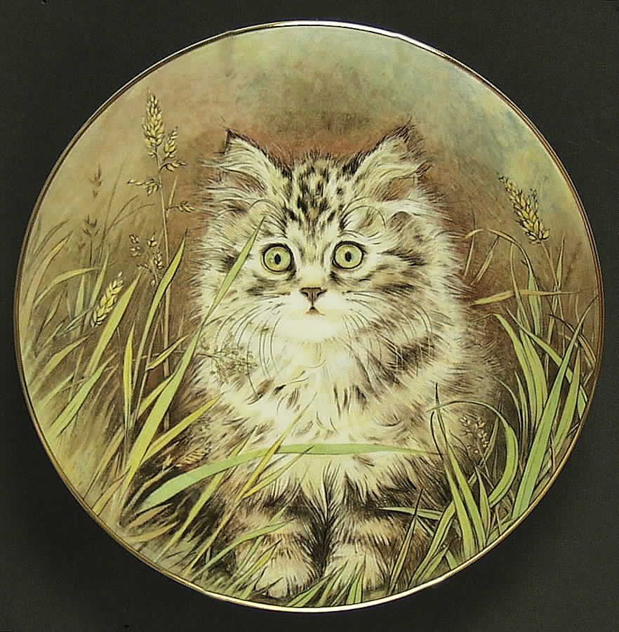 Kitten Classics Wild Flower - No Box by Royal Worcester-1