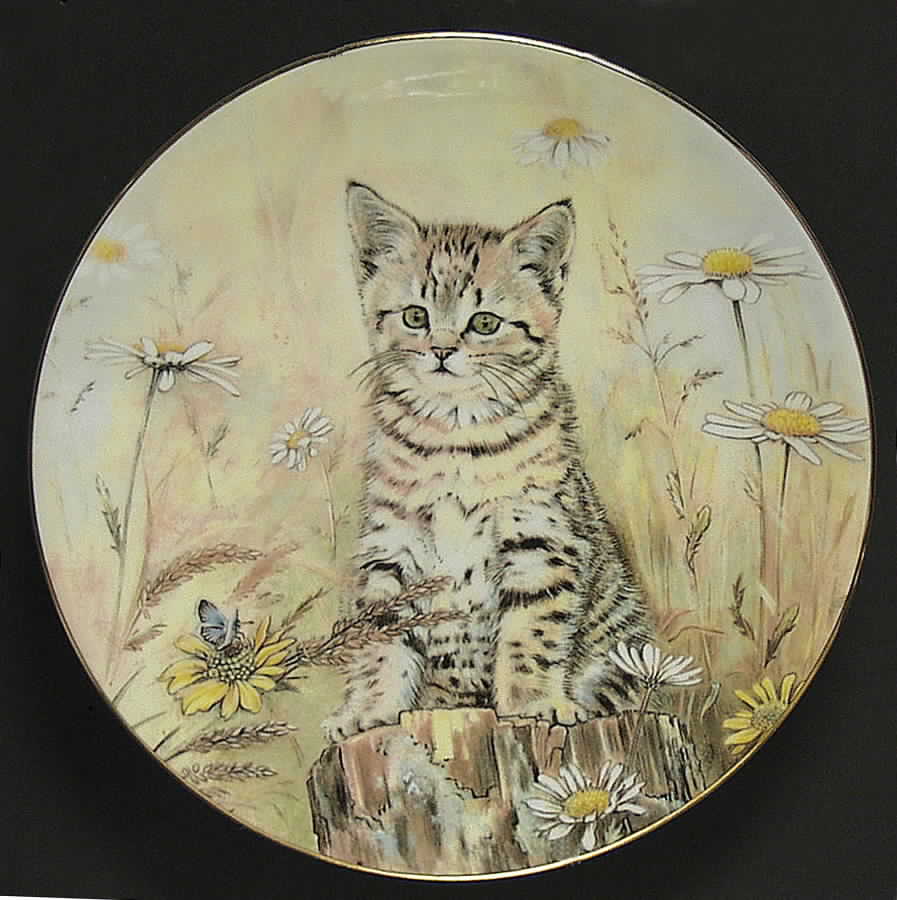 Kitten Classics Tiger's Fancy - Boxed by Royal Worcester-1