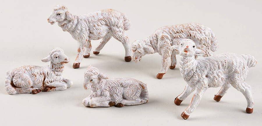 Fontanini Heirloom Nativity 5" Scale Sheep-White Set Of 5 - Boxed by Roman-1