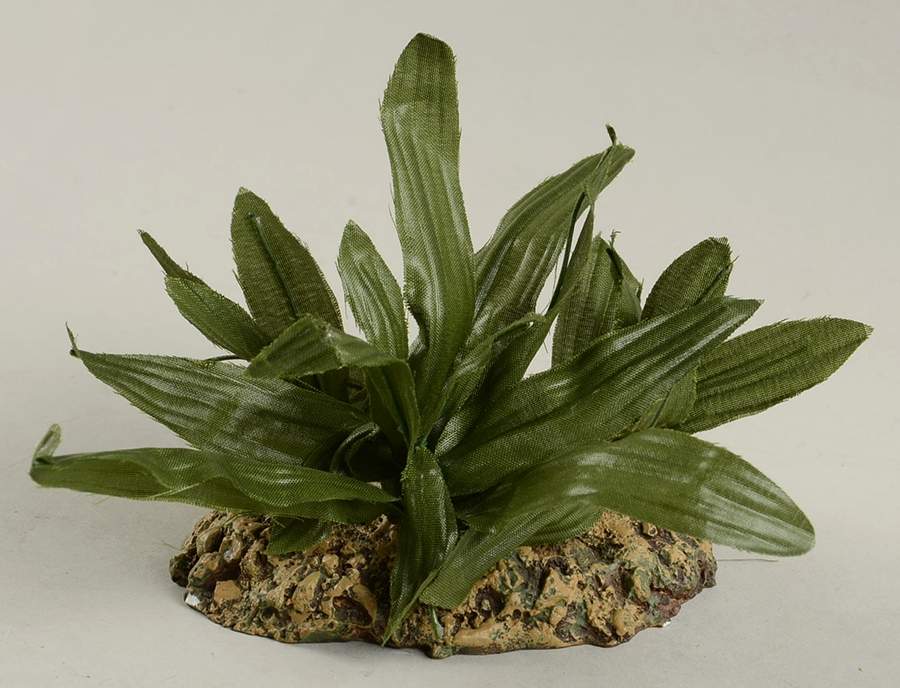 Fontanini Heirloom Nativity 5" Scale Plant-Large - No Box by Roman-1