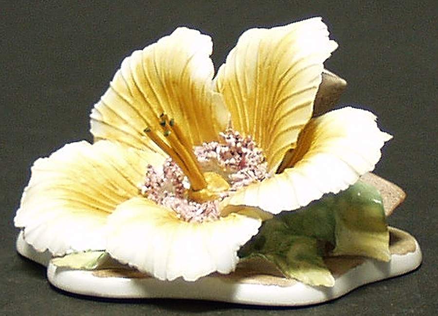 Ramex Cluj Collection Giftware Hibiscus - No Box by Ramex Intl-1
