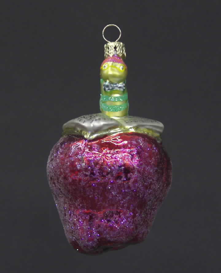 School Days Ornament Well Read - No Box by Christopher Radko-1
