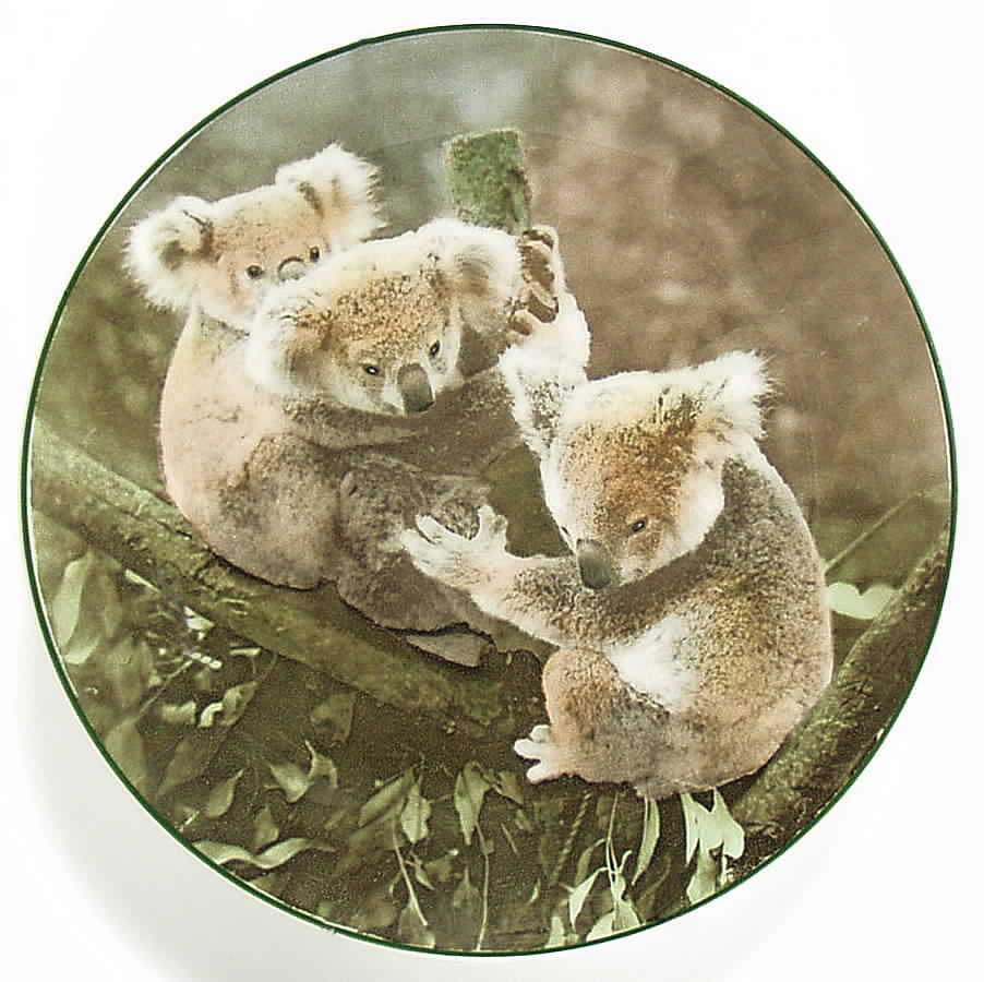 Australian Views Koala Bears - No Box by Royal Doulton-1