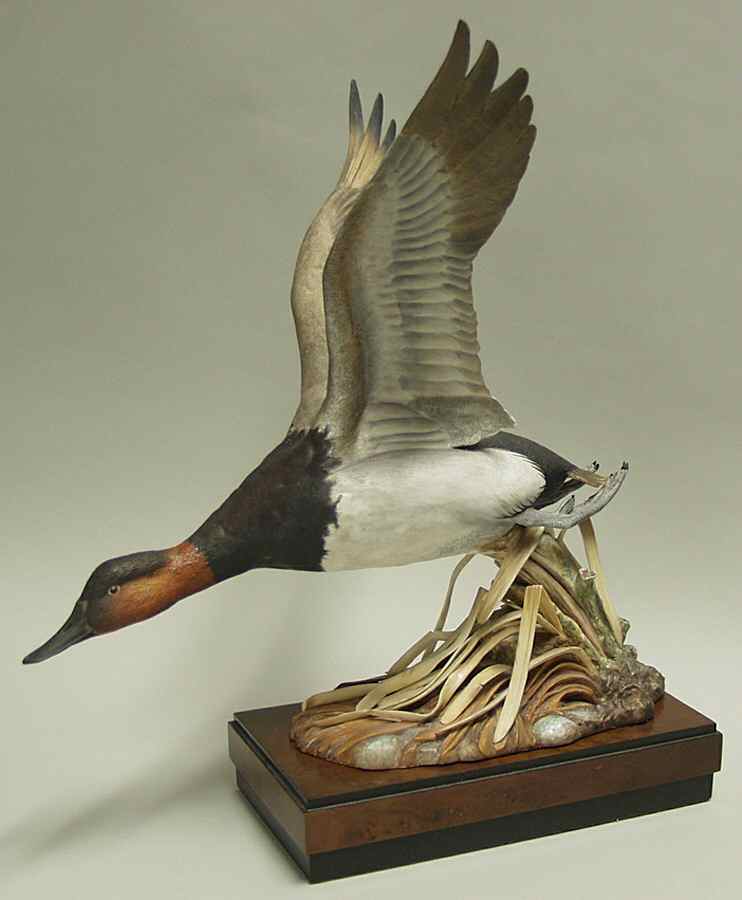 Royal Worcester Bird Figurines Canvasback Duck - No Box by Royal Worcester-1