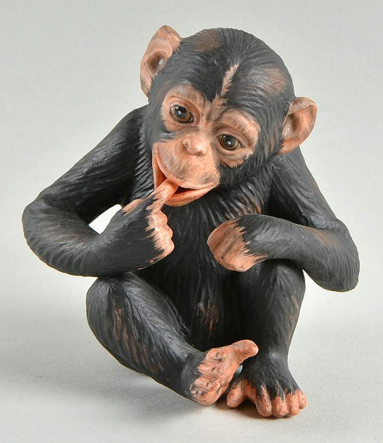 Baby Animals Collection Kimdundo-Baby Chimp - No Box by River Shore-1