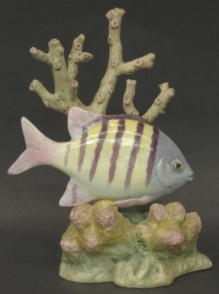 Tropical Fish-Small Sergeant Major - Boxed by Royal Worcester-1