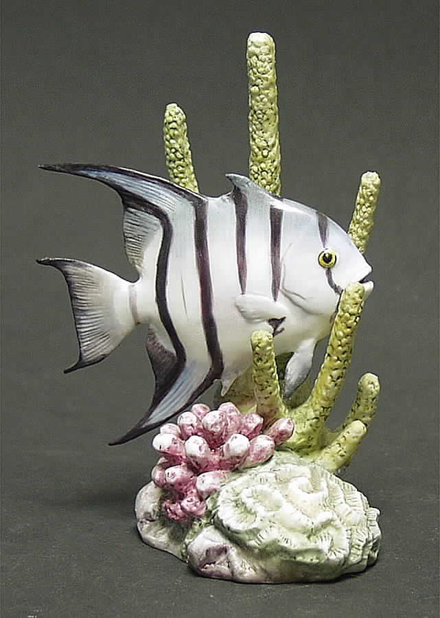 Tropical Fish-Small Spade Fish - Boxed by Royal Worcester-1