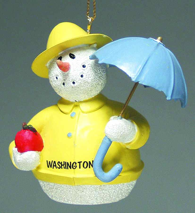 State Snowman Collection Washington - Boxed by Roman-1