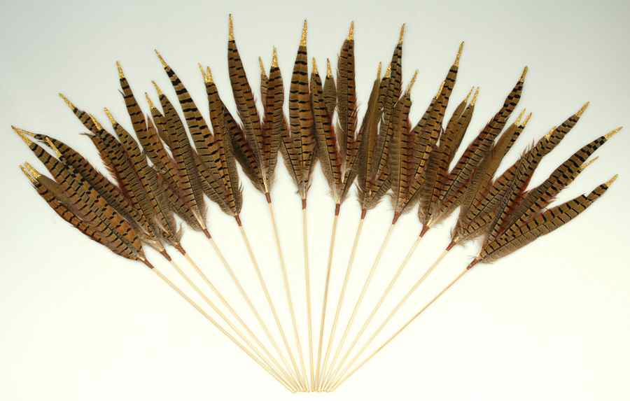 Woodlands Collection Pheasant Feather Pick-Set Of 12 - No Box by Roman-1