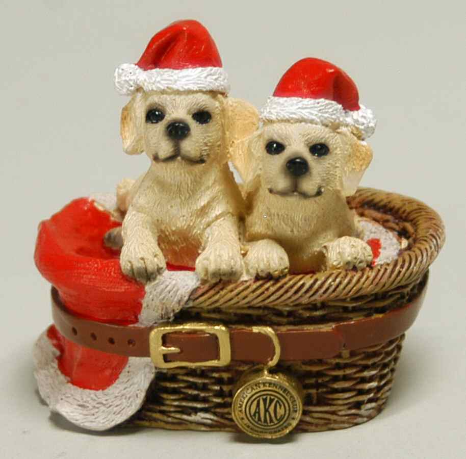 American Kennel Club Yellow Labs - No Box by Roman-1