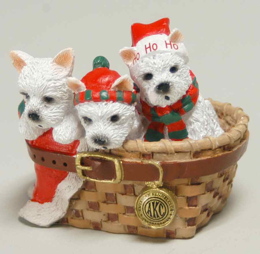 American Kennel Club Westies - Boxed by Roman-1