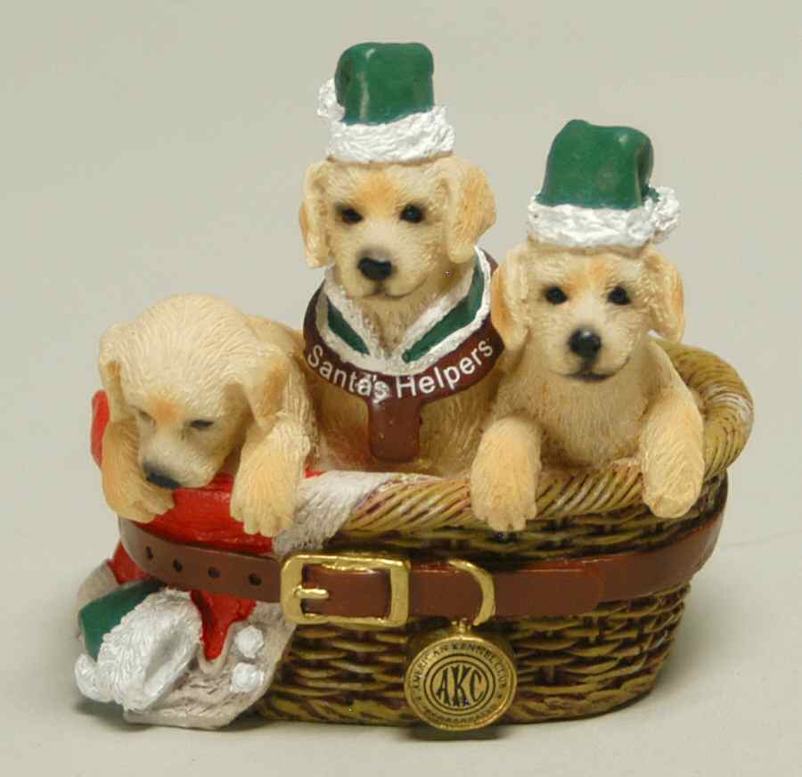 American Kennel Club Golden Retrievers - Boxed by Roman-1