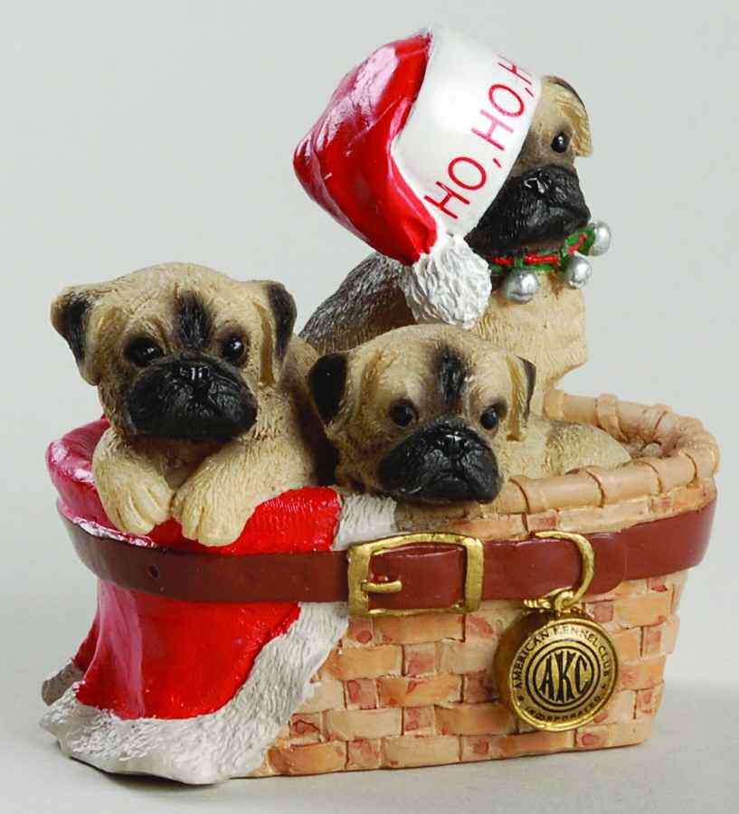 American Kennel Club Pugs - No Box by Roman-1