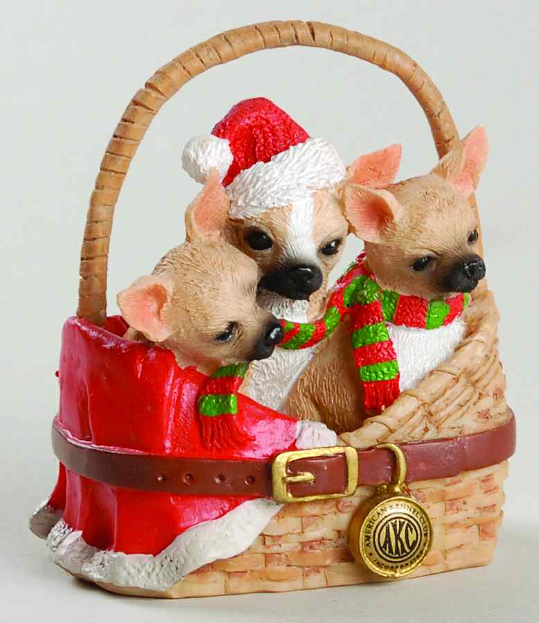 American Kennel Club Chihuahua - Boxed by Roman-1