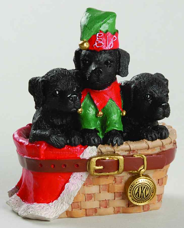 American Kennel Club Black Labs - Boxed by Roman-1
