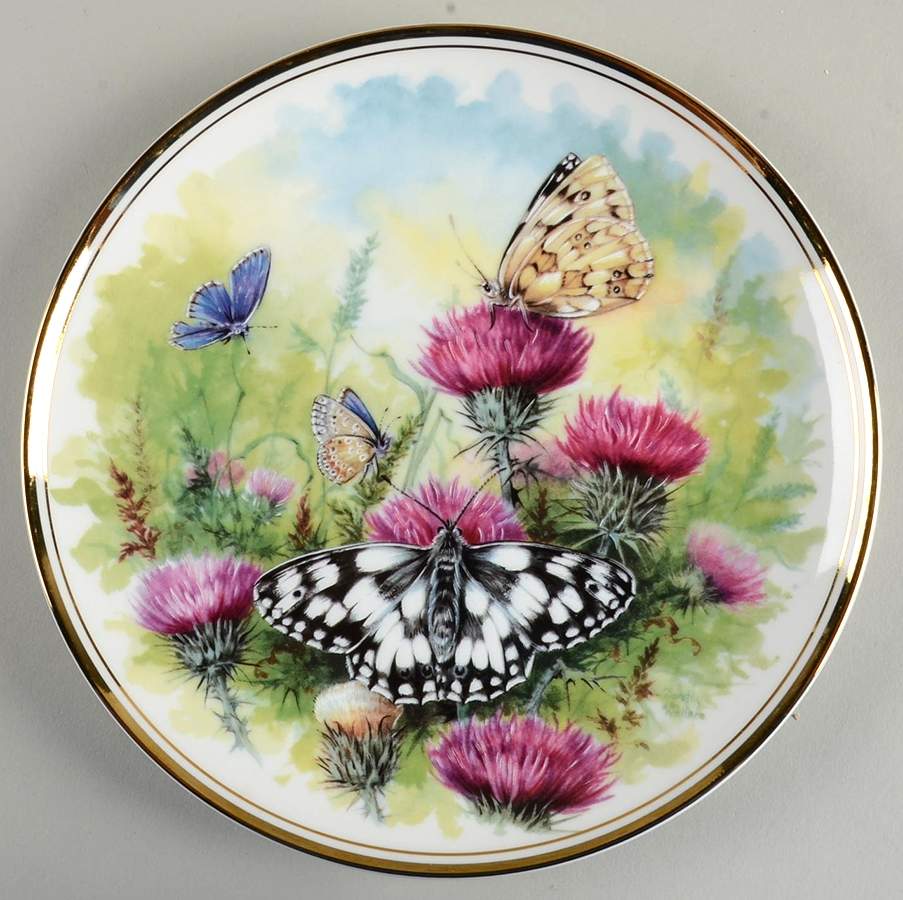 Butterfly Kingdom Marbled White, Common Blue - Boxed by Royal Vale-1
