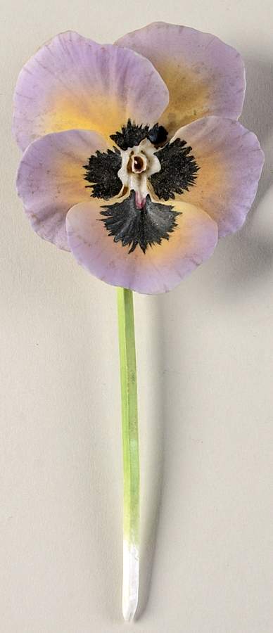 Flower Arrangements Pretty Faces-Yellow Pansy - No Box by Royal Worcester-1