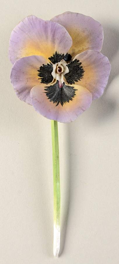 Flower Arrangements Pretty Faces-Purple Pansy - No Box by Royal Worcester-1