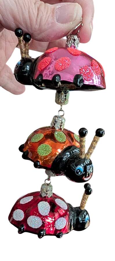 Floral & Garden Leaping Ladybugs - No Box by Christopher Radko-1