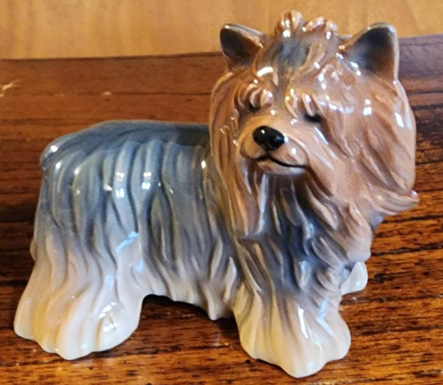 Dogs Yorkshire Terrier - Boxed by Royal Copenhagen-1