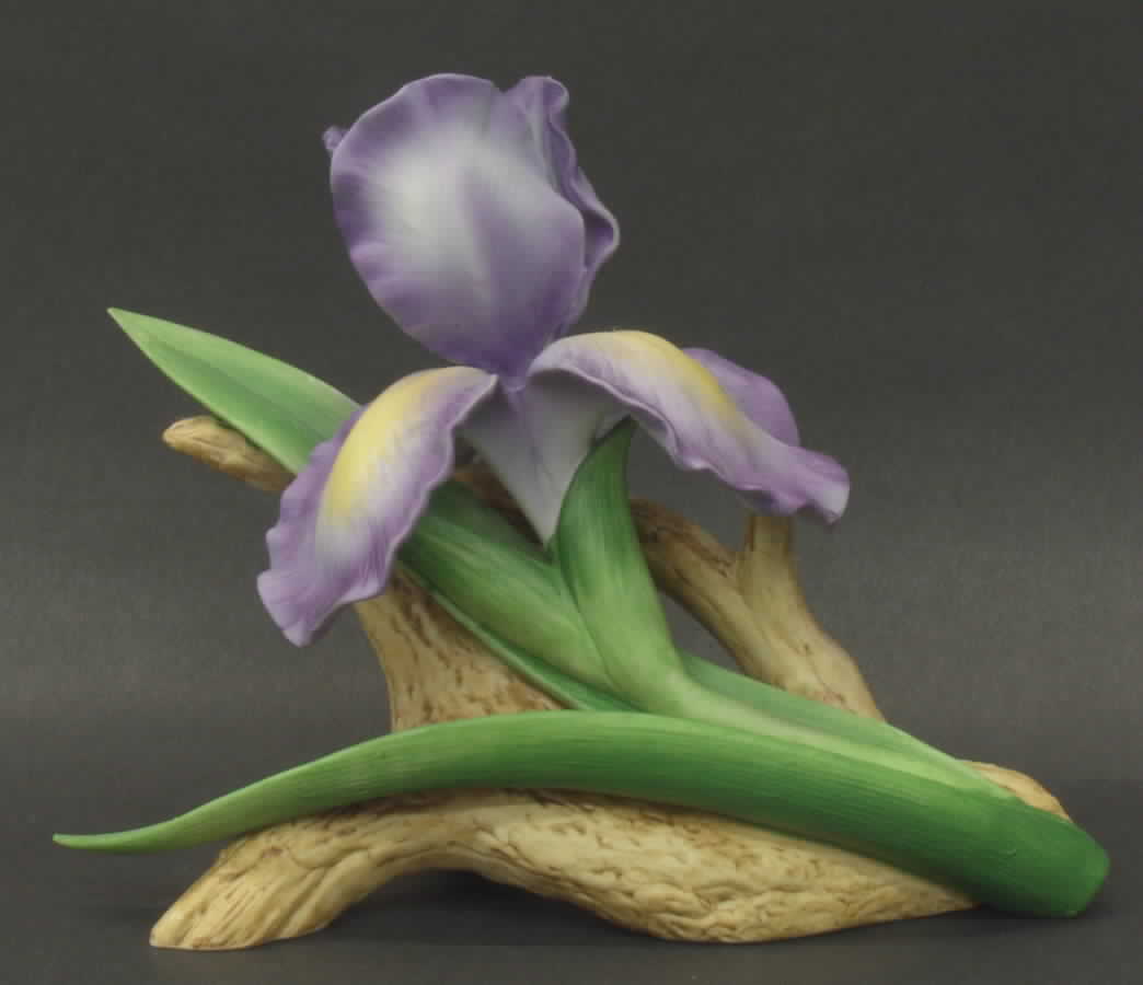 Sadek Flower Figurines Iris - Boxed by Sadek-1
