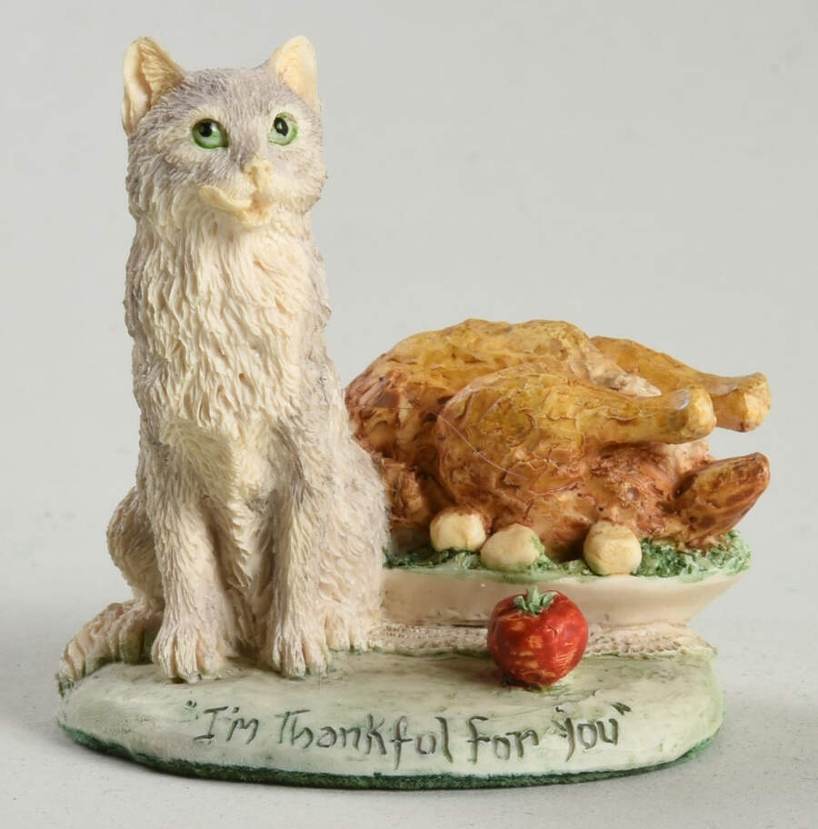 R.F.D. America I'm Thankful For You - No Box by Schmid-1