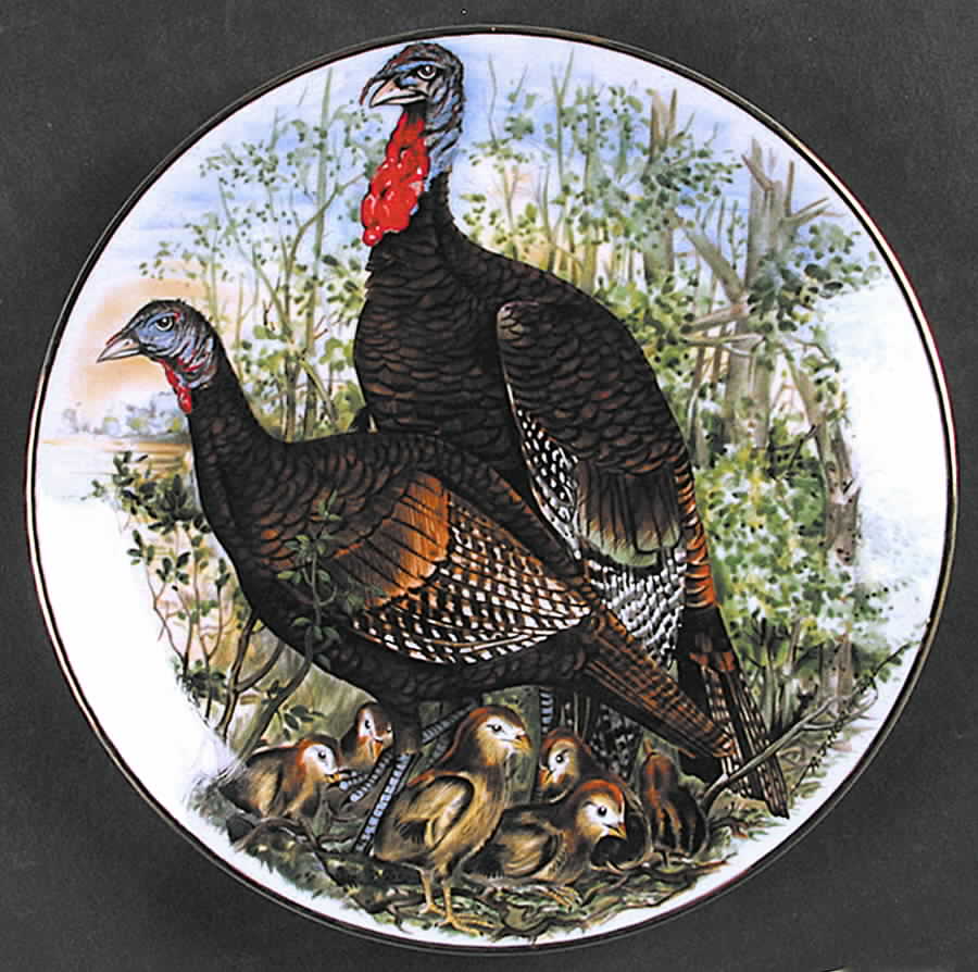 Game Birds of The South Wild Turkey - Boxed by Southern Living Gallery-1